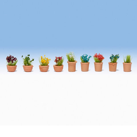 HO ORNAMENTAL PLANTS (9)
