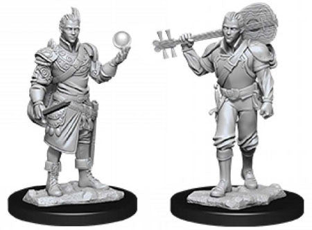 D&D MALE HALF-ELF BARD W12