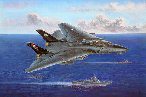 HOBBYBOSS 1/48  F-14B TOMCAT