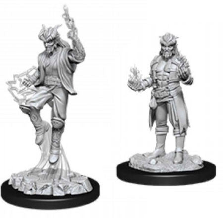 D&D MALE MALE TIEFLING SORCERER W12