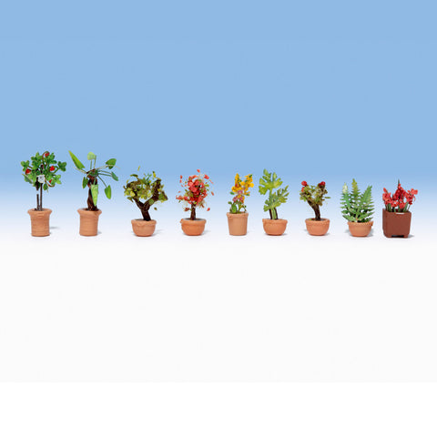 HO ORNAMENTAL PLANTS 5 (9)