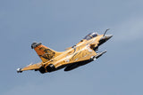 FMS Rafale 80mm EDF  PNP