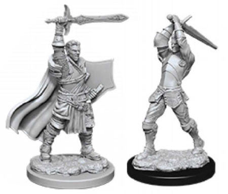D&D MALE HUMAN PALADIN W12