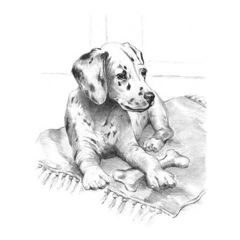 ROYAL&LANGNICKEL DALMATIAN PUP