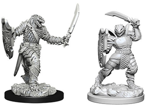 D&D FEMALE DRAGONBORN PALADIN