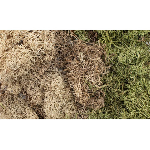 ALL GAME TERRAIN WINTER MIX BUSHES