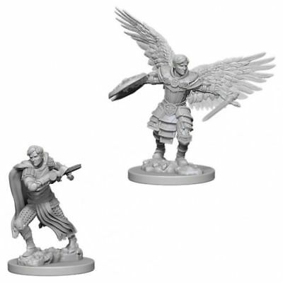 D&D MALE AASIMAR FIGHTER