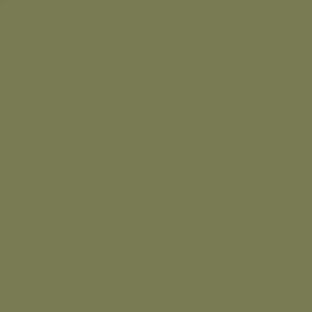 US Army Olive Drab Faded 1
