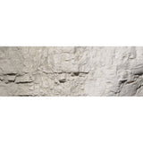 WOODLAND SCENICS Earth Colors Liquid Pigment Concrete Terrain 4oz