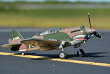 FMS P-40B, Flying Tiger, PNP, 980mm