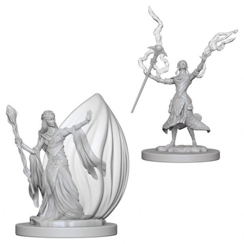 D&D ELF FEMALE WIZARD