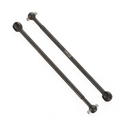 ASSOCIATED CVA Bones