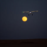 EFLITE Night Timber X 1.2M PNP