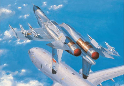 HOBBY BOSS 1/48 PLA J-11B