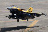 FMS Rafale 80mm EDF  PNP