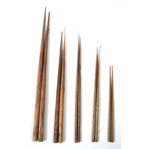 TREE TRUNKS CONIFER VARIETY