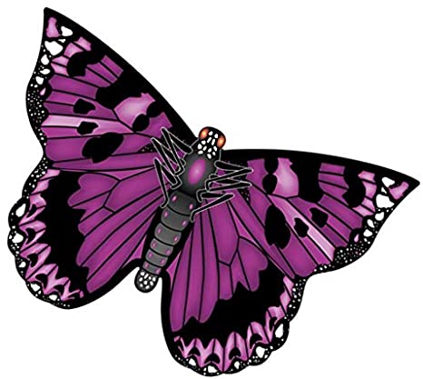 BUTTERFLY  PURPLE 19"