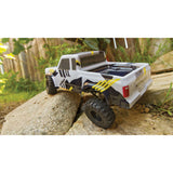 ASSOCIATED 1/24 ENDURO 24 4WD SENDERO TRAIL TRUCK RTR
