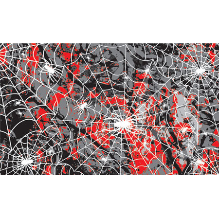 PINECAR Body Skin Custom Transfer, Spider Web