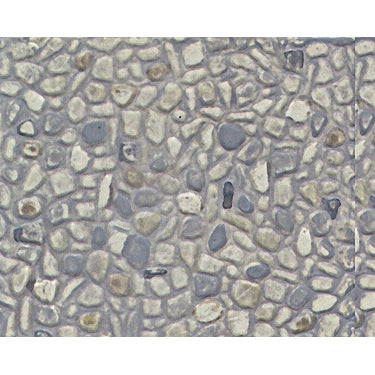 STY RANDOM STONE SHEETS