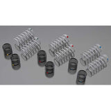 PROLINE SPRING ASSORTMENT