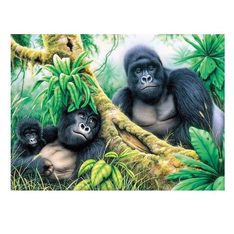 ROYAL&LANGNICKEL MNT GORILLAS