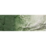 WOODLAND SCENICS  Earth Color Liquid Pigment Green Undercoat 8oz