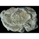 WOODLAND SCENICS Rock Mold: Wind Rock