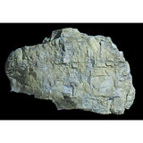 WOODLAND SCENICS Rock Mold: Rock Mass