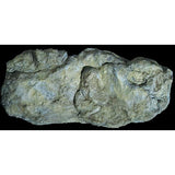 WOODLAND SCENICS Rock Mold: Washed Rock