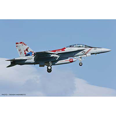 HASEGAWA SUPER HORNET