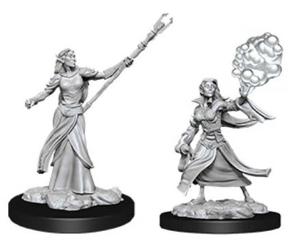 D&D FEMALE ELF SORCERER W12