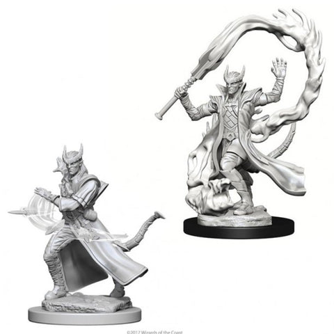 D&D NOLZUR'S MARVELOUS TIEFLING MALE SORCERER