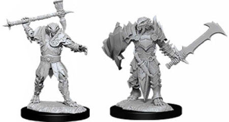 D&D MALE DRAGONBORN PALADIN W12