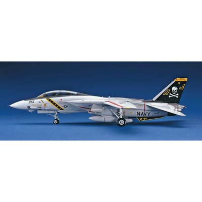 HASEGAWA F-14A TOMCAT