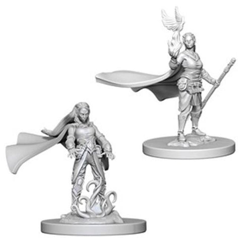 D&D HUMAN FEMALE ELF DRUID