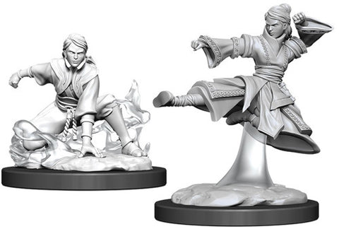 D&D FEMALE HUMAN MONK W11