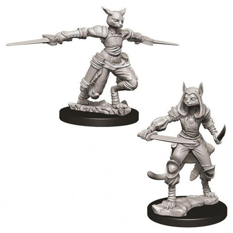 D&D TABAXI ROUGE