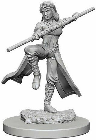 D&D HUMAN FEMALE MONK