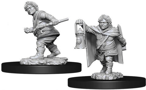 D&D MALE HALFLING ROGUE W11