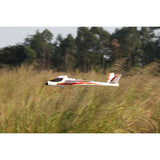 FMS 800mm V-Tail PNP