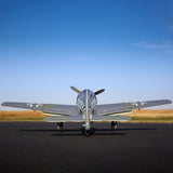 EFLITE Focke-Wulf Fw190A 1.5m BNF Basic with Smart