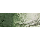 WOODLAND SCENICS  Earth Color Liquid Pigment Green Undercoat 8oz