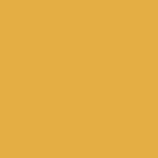 MISSION MODELS 1oz New Construction Yellow
