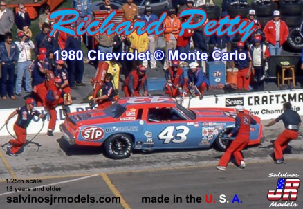 SALVINOS 1/25 RICHARD PETTY #43 MONTE CARLO