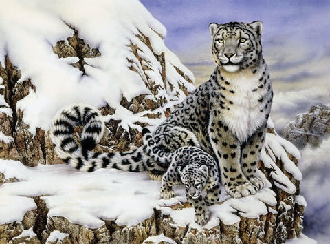 ROYAL Alpine Royalty (Snow Leopards)11.25"x15.375"